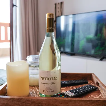 Modern 1br Mountain View Walk To Lift Διαμέρισμα Μπάνσκο