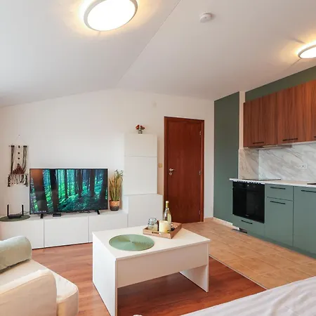 Modern 1Br Mountain View Walk To Ski Lift בנסקו