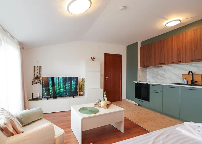 Stylish 1Br Bansko Balconyiwalk To Ski Lift & Spa 班斯科