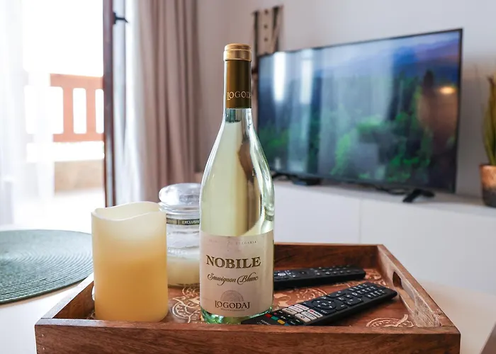 Bansko Nest 1BR Mountain View near Ski Lift Apartment Bansko